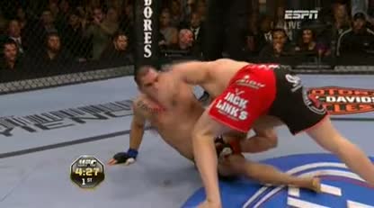 velasquez vs lesnar