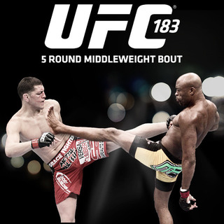 UFC 183