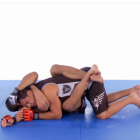 来自于“头和手臂控制姿势”和underhook