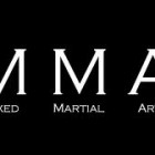mma: 综合格斗, mixed martial arts